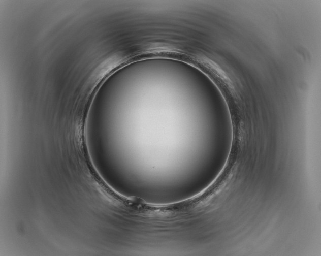 X0000112901321200908211507