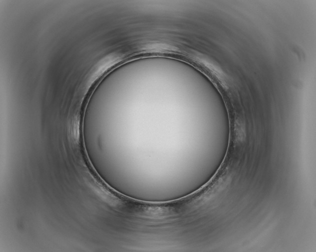 X0000112901322200908211507