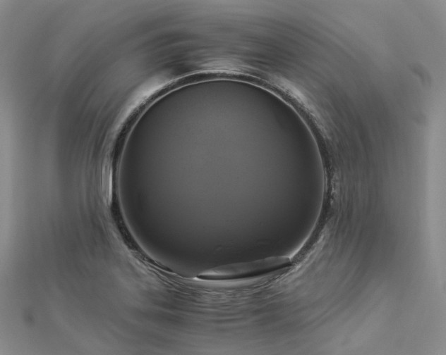 X0000112901323200908211507