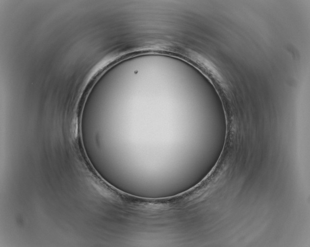X0000112901324200908211507
