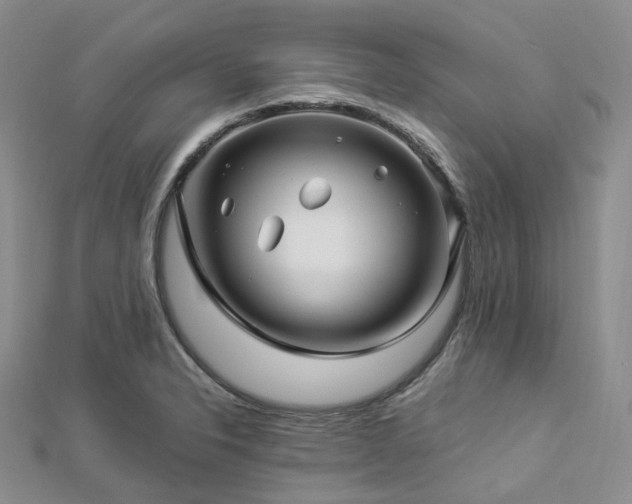 X0000112901326200908211507