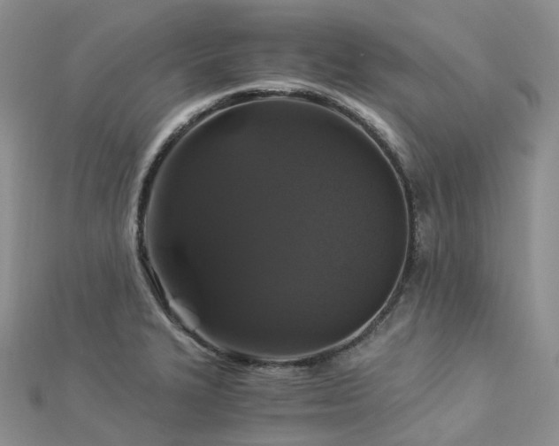X0000112901327200908211507