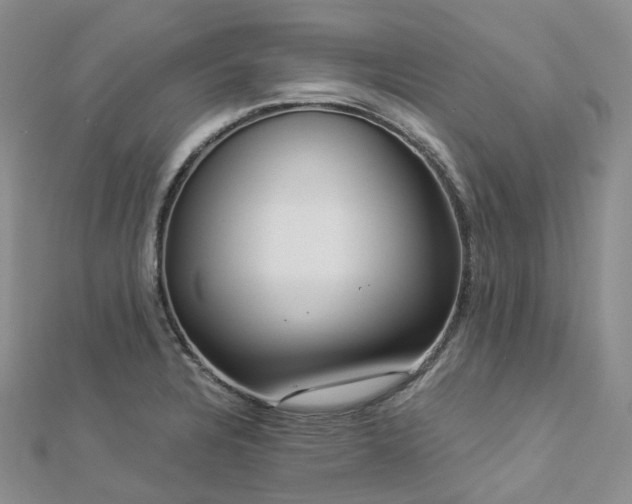 X0000112901328200908211507