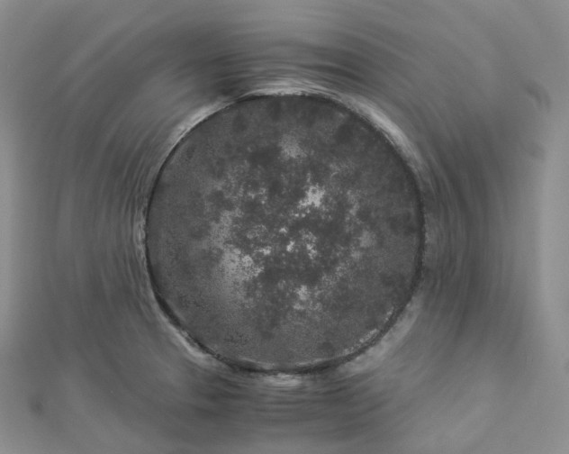 X0000112901329200908211507