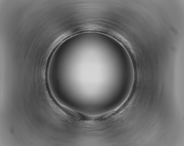 X0000112901330200908211507