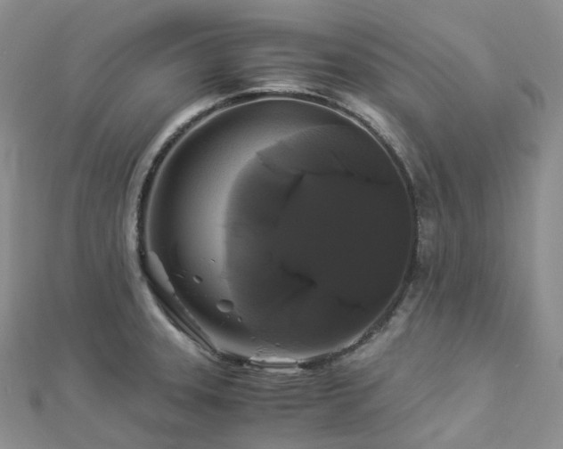 X0000112901331200908211507