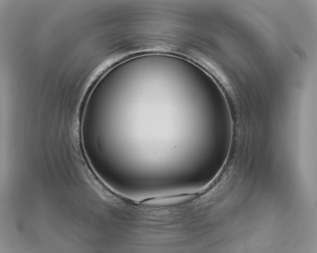 X0000112901332200908211507