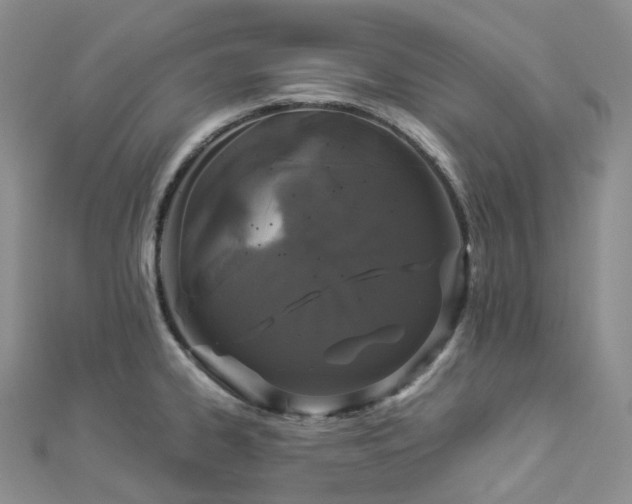 X0000112901334200908211507
