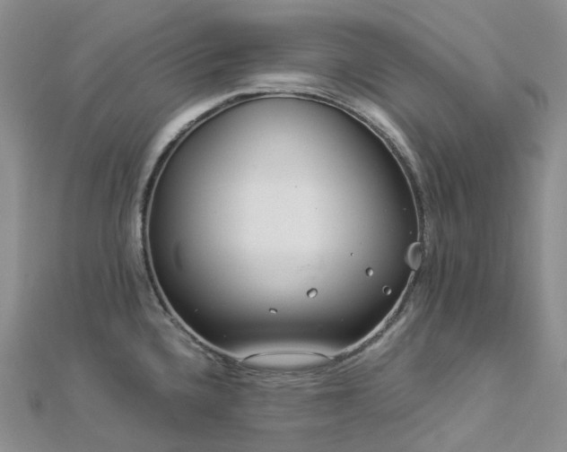 X0000112901336200908211507
