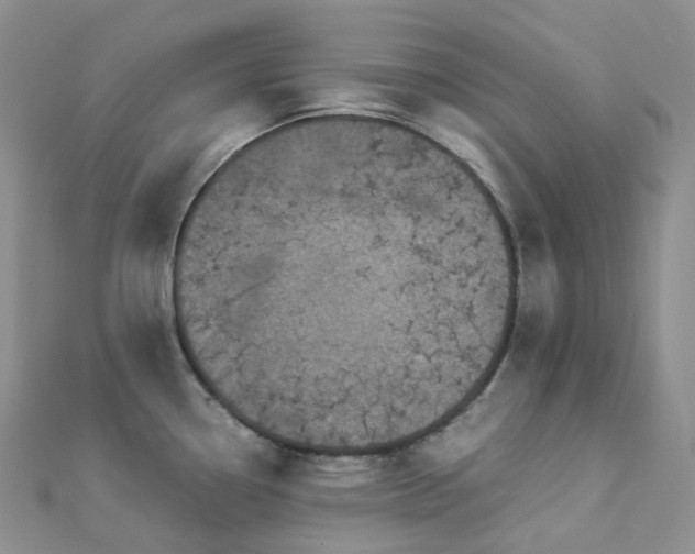 X0000112901338200908211508