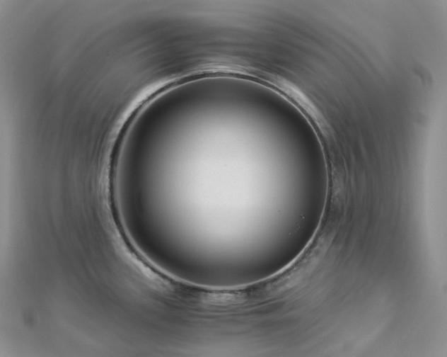 X0000112901339200908211508