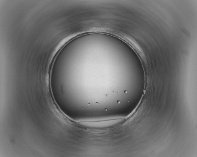 X0000112901340200908211508