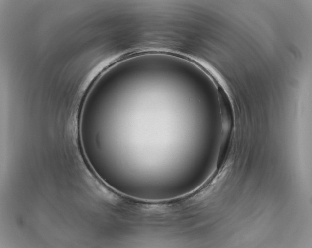 X0000112901341200908211508