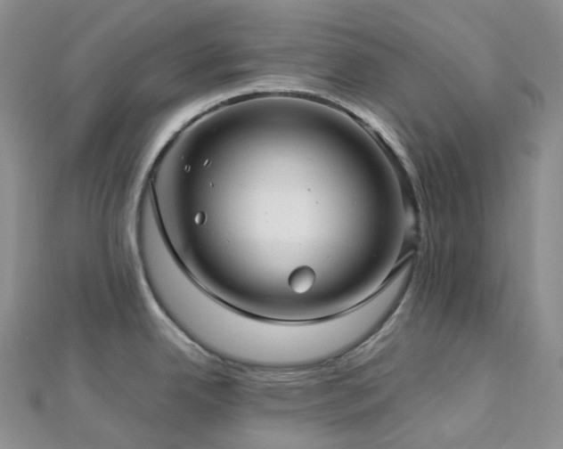 X0000112901342200908211508