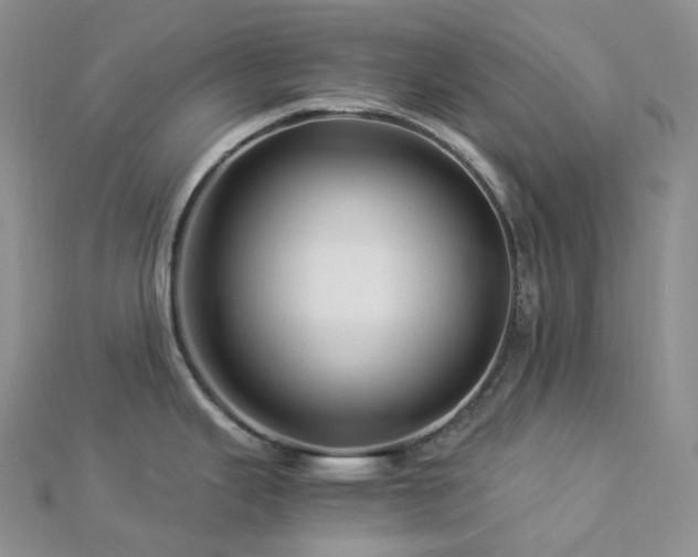 X0000112901343200908211508