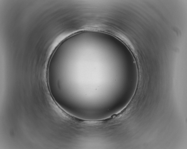 X0000112901344200908211508