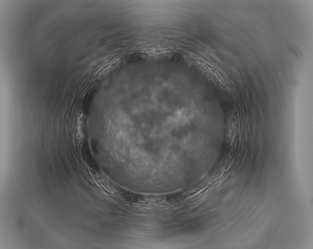 X0000112901346200908211507