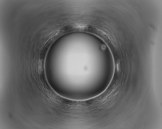 X0000112901347200908211507