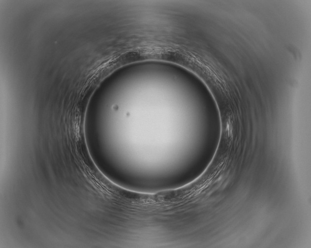 X0000112901348200908211507
