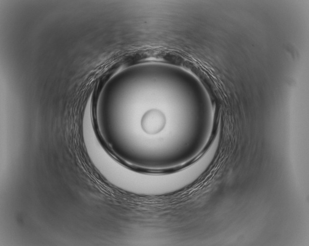 X0000112901349200908211507