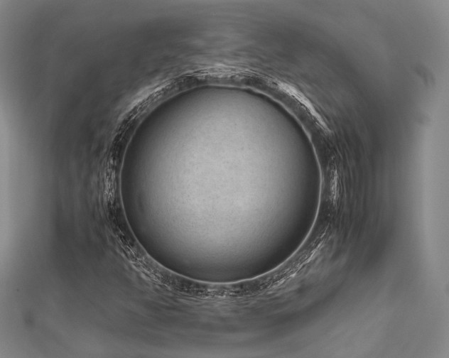 X0000112901350200908211507