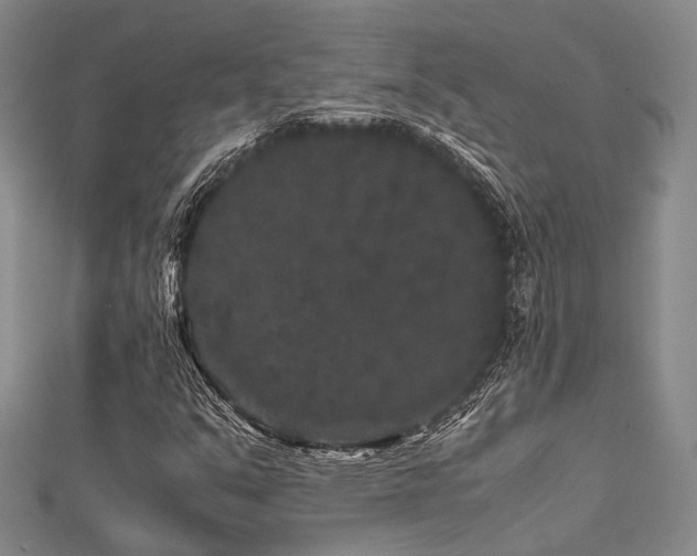 X0000112901351200908211507