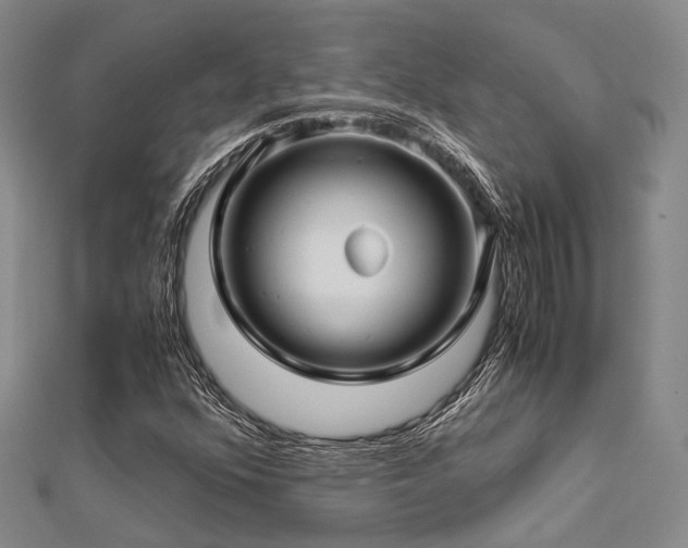 X0000112901352200908211507