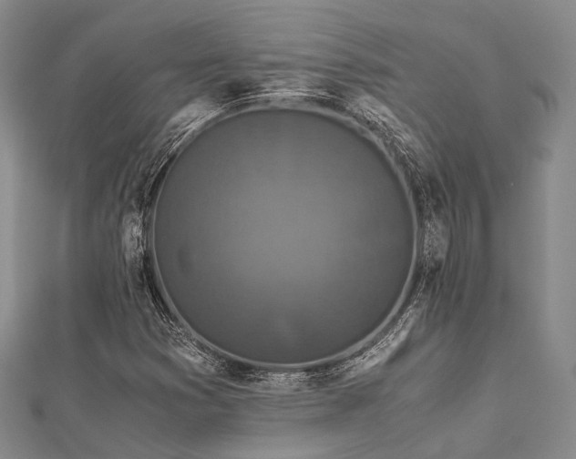 X0000112901353200908211507