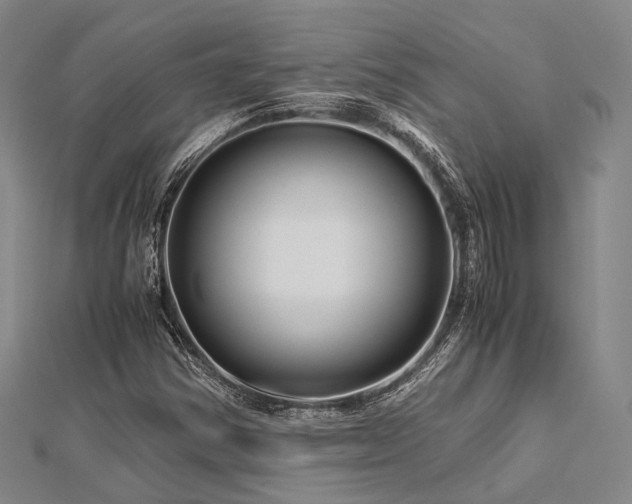 X0000112901354200908211507