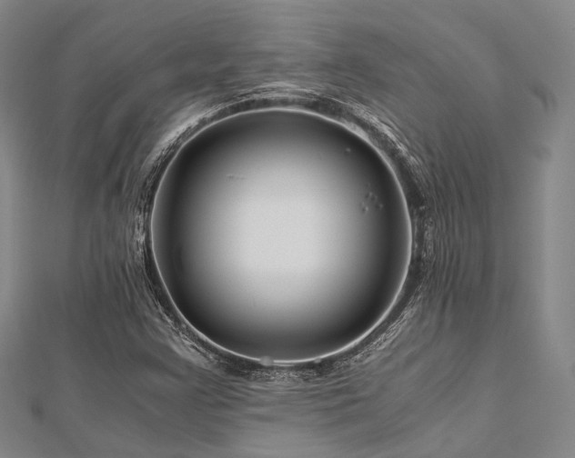 X0000112901355200908211507