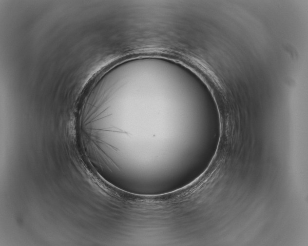 X0000112901356200908211507