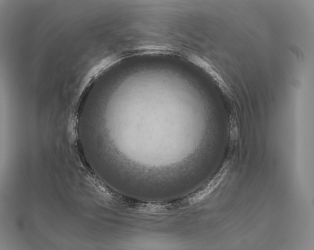 X0000112901357200908211507