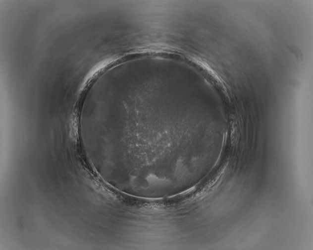 X0000112901358200908211507