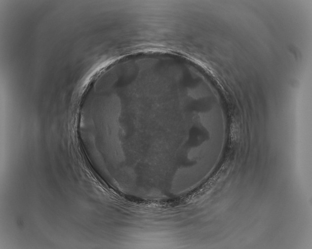 X0000112901359200908211507