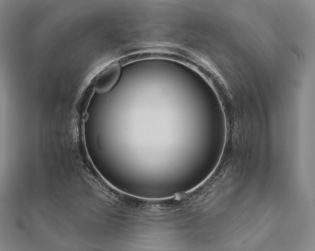 X0000112901360200908211507