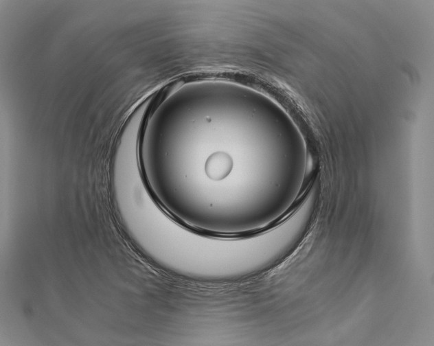 X0000112901361200908211507