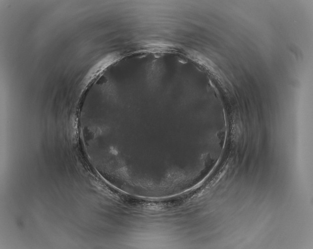 X0000112901362200908211507