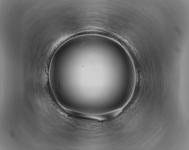 X0000112901363200908211507
