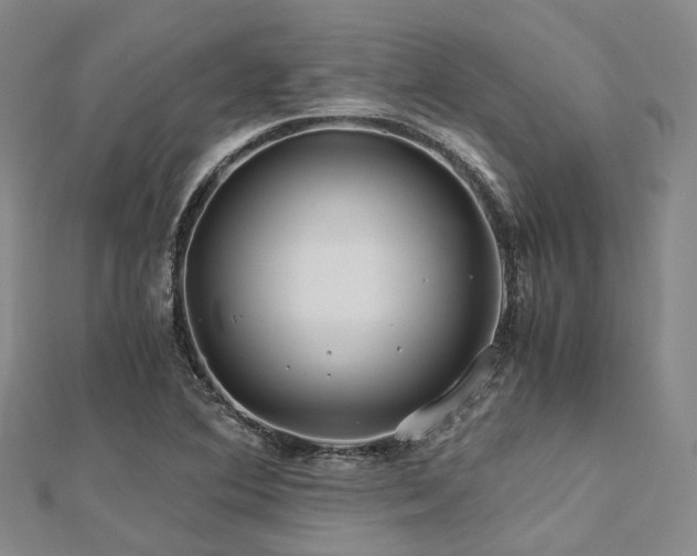 X0000112901364200908211507