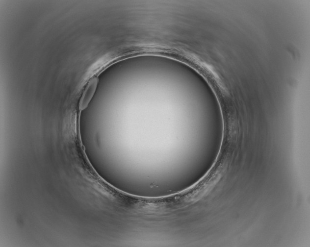 X0000112901365200908211507