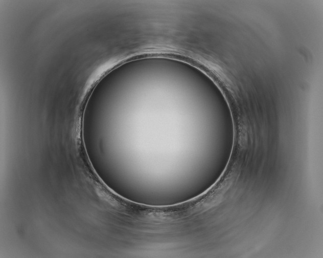 X0000112901366200908211507
