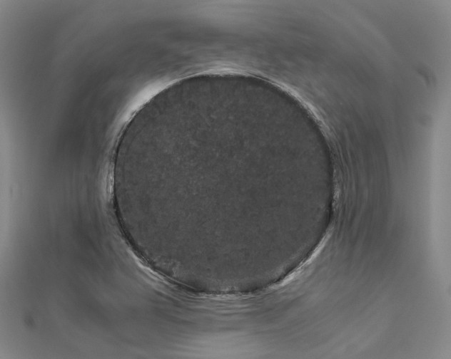X0000112901367200908211507