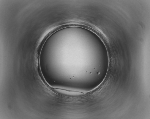 X0000112901368200908211507