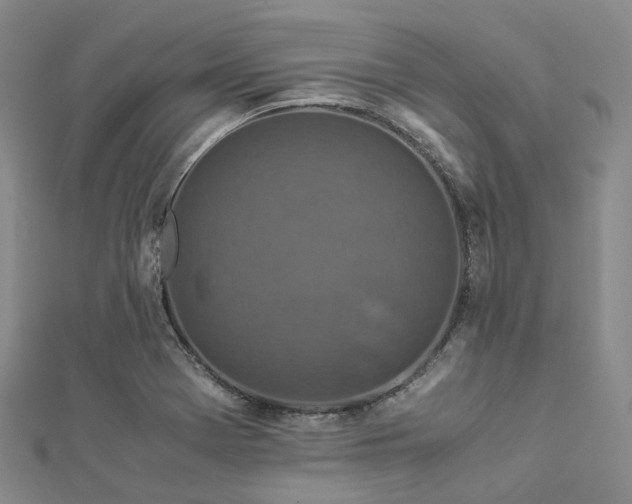 X0000112901369200908211507