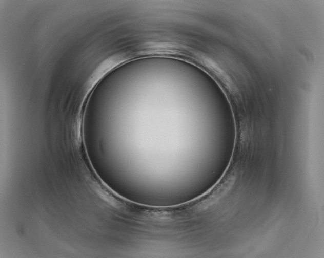 X0000112901370200908211506