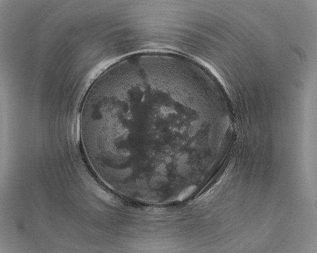X0000112901371200908211506