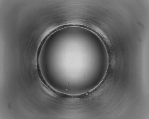 X0000112901372200908211506