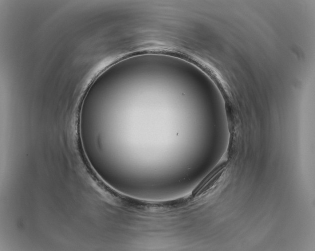 X0000112901375200908211506