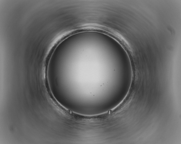 X0000112901376200908211506