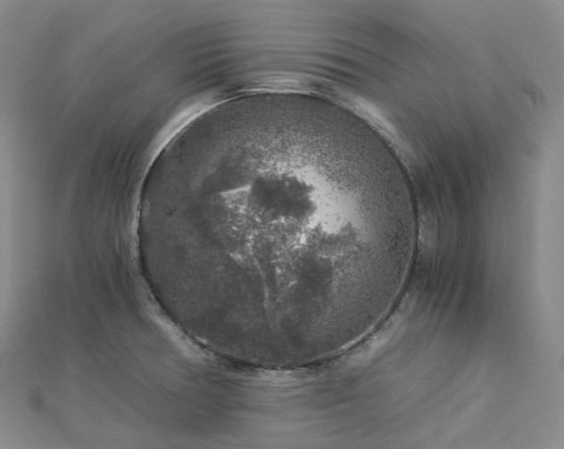 X0000112901378200908211506